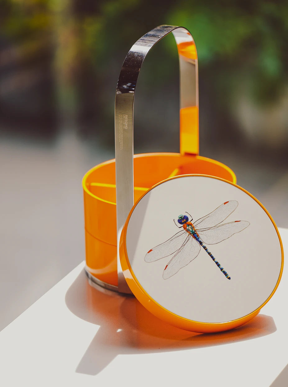 Texture close-up shot of open double storage box, highlighting vivid dragonfly illustration, glossy orange lacquer & brushed metal handle