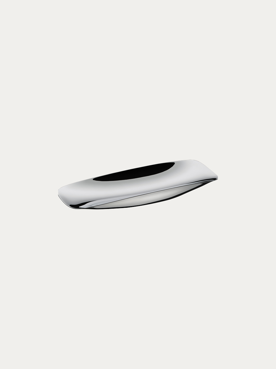HD Stainless Steel Long Fruit Plate