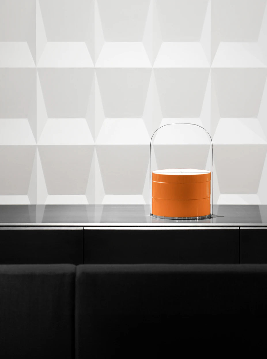 Minimalist monochrome furnishing shot of double dragonfly box on dark cabinet against textured white geometric wall