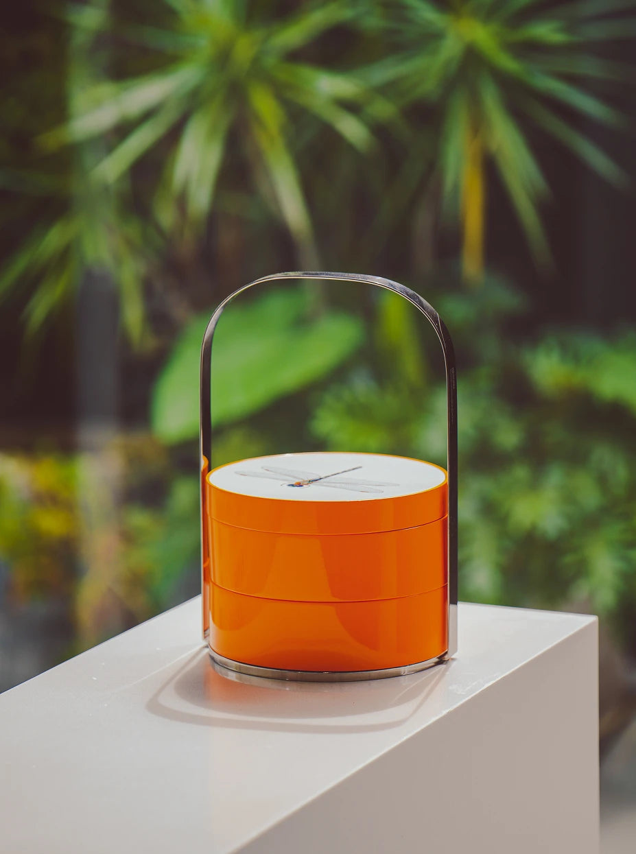 Warm natural light furnishing shot of double storage box on white stone plinth with green foliage background